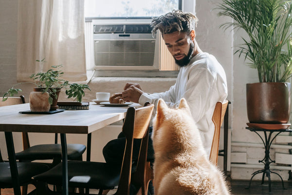Alimentos prohibidos para perros: lo que nunca deberías darle
