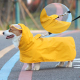 Impermeable transparente para perros con capucha y banda de vientre