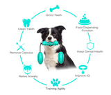 Juguete Mordedor Dental para Perros - Cepillo de Dientes y Limpieza Bucal