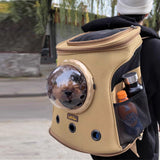Mochila transportadora de piel para perros medianos - estilo backpack