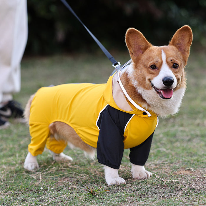 Poncho impermeable total para perros - protección completa