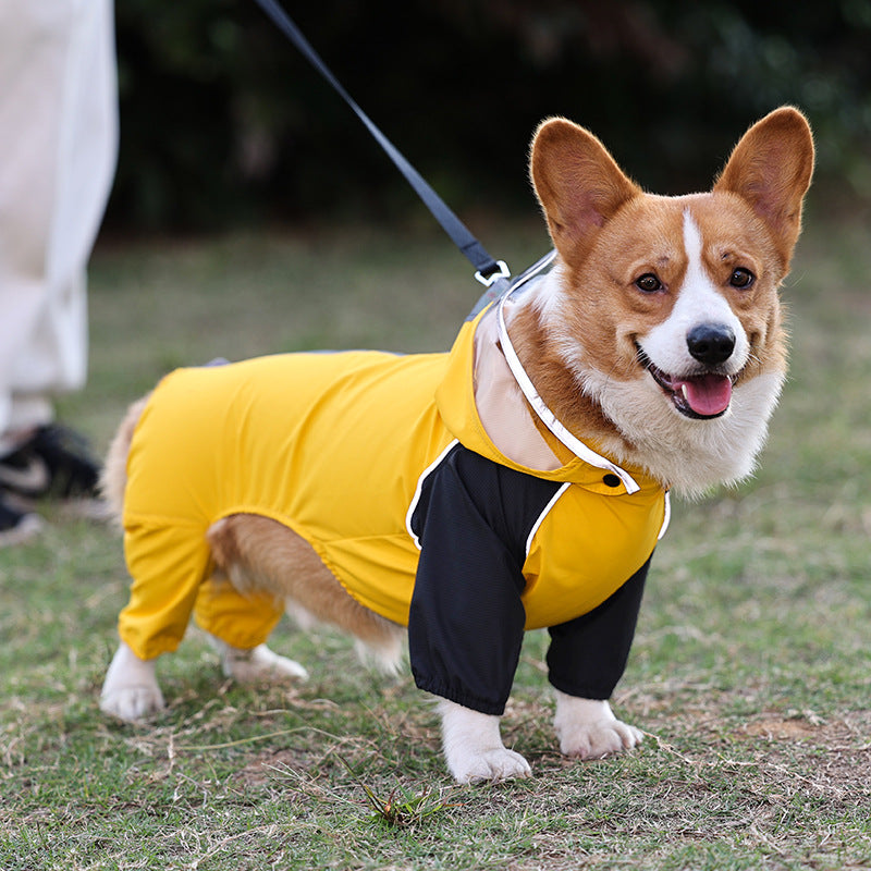 Poncho impermeable total para perros - protección completa