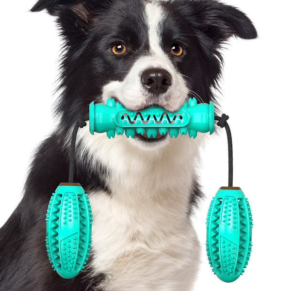 Juguete Mordedor Dental para Perros - Cepillo de Dientes y Limpieza Bucal