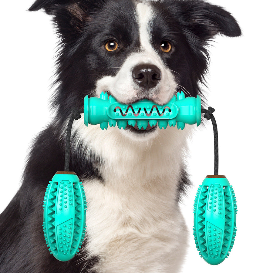 Juguete Mordedor Dental para Perros - Cepillo de Dientes y Limpieza Bucal
