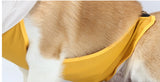 Impermeable transparente para perros con capucha y banda de vientre