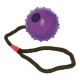 Pelota de Goma con Cuerda para Perros - Juguete Mordedor Resistente