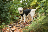 Impermeable Táctico para Perros - Estilo Militar Negro