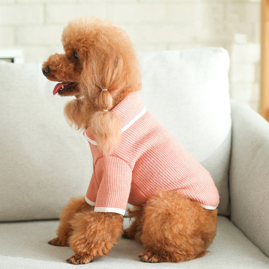 Jersey de punto con cuello solapa para perros - estilo japonés y coreano