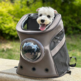 Mochila transportadora de piel para perros medianos - estilo backpack