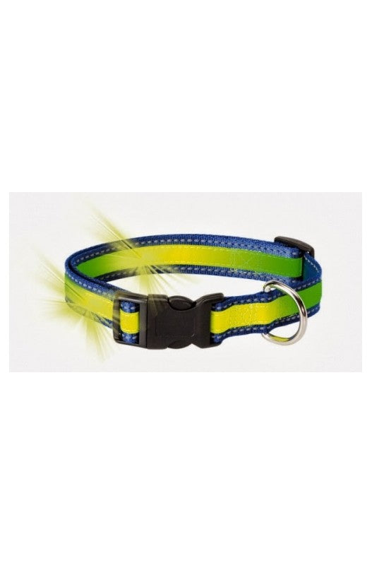 Collar reflectante y fosforescente para perro – 35-50 cm