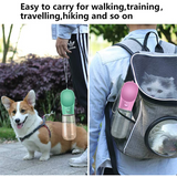 Dispensador de agua para mascotas