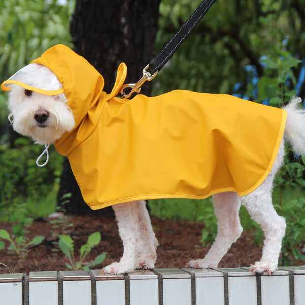 Impermeable transparente para perros con capucha y banda de vientre